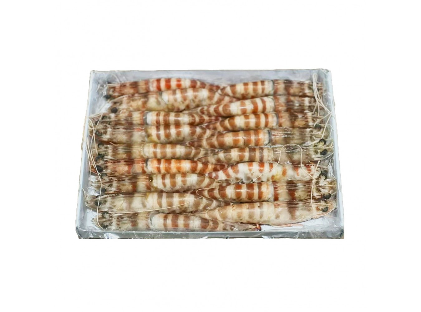 MAZZANCOLLE TIGRATE T1 16/20 AA KG.1X12