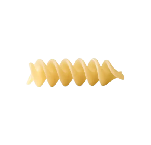 MOLISANA 28 FUSILLI            GR.500X24