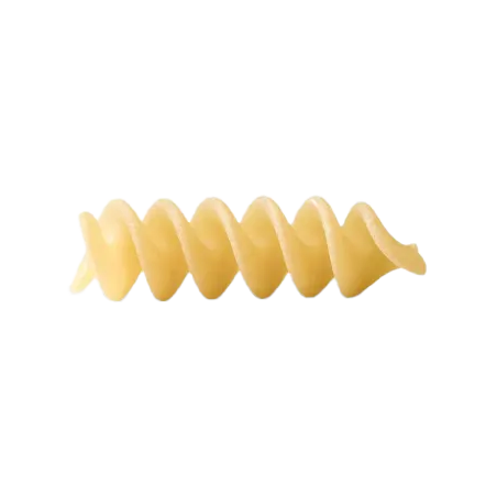 MOLISANA 28 FUSILLI            GR.500X24