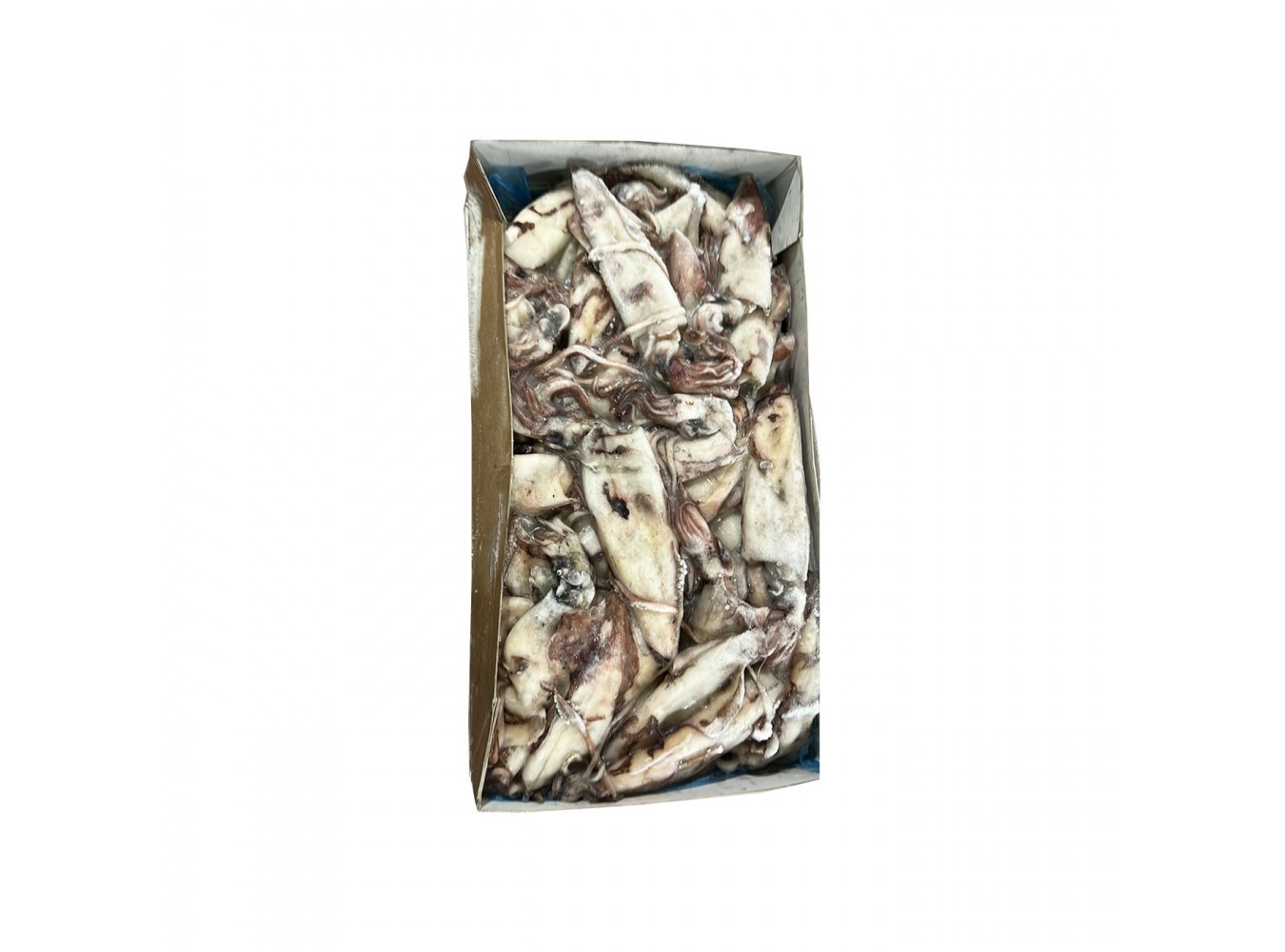 CALAMARI SPORCHI 100/300 P.P.    CT1X6KG