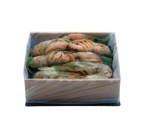 ASTICE AMERICANO CRUDO 450/500 CT1X4KG