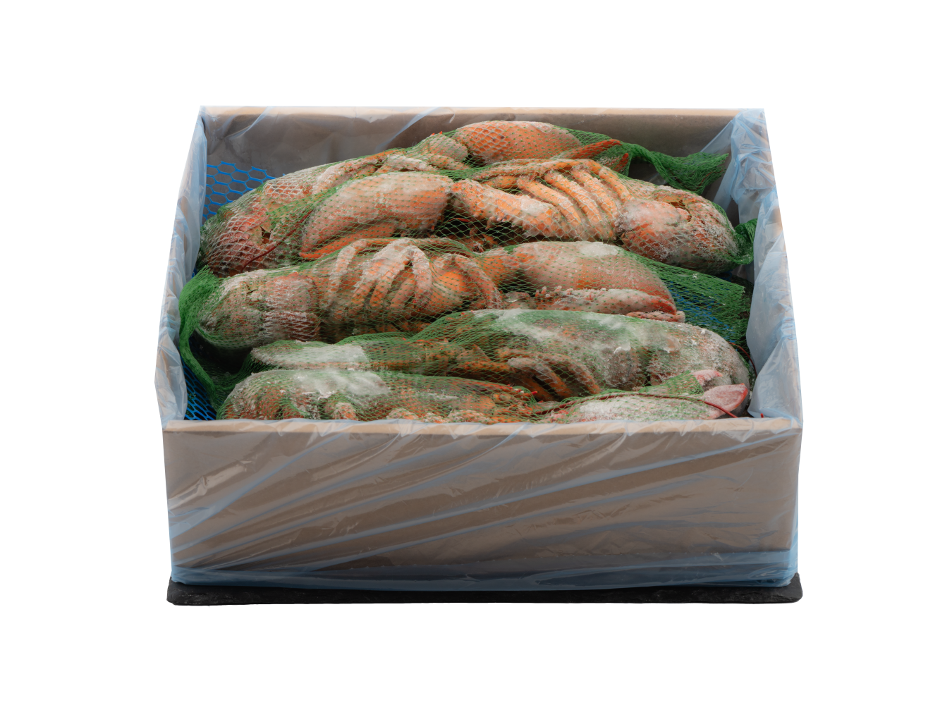 ASTICE AMERICANO CRUDO 450/500 CT1X4KG