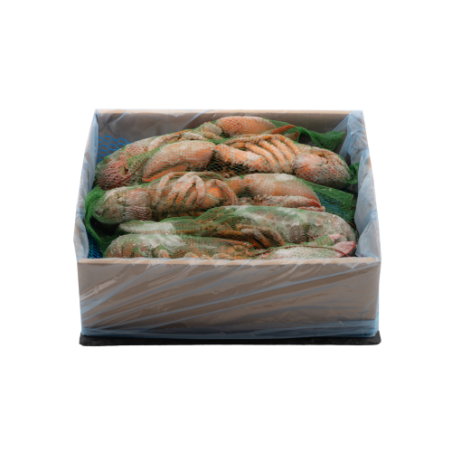 ASTICE AMERICANO CRUDO 450/500 CT1X4KG