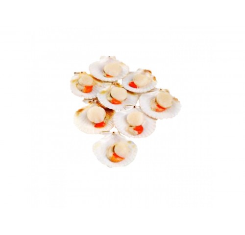 CANESTRELLI 1/2 GUSCIO 40/60  PZ10X750GR
