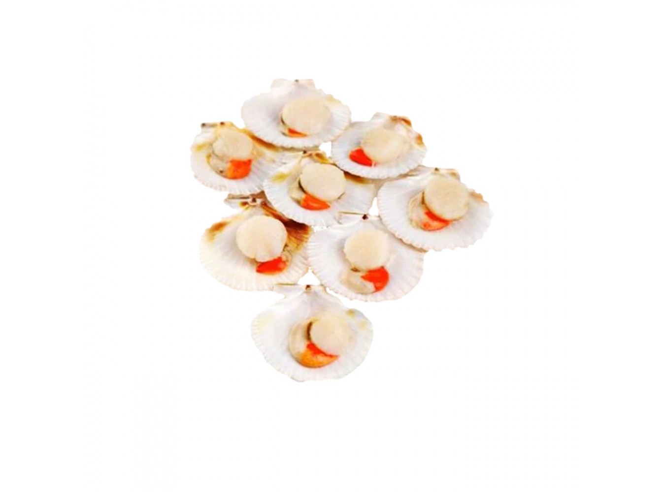 CANESTRELLI 1/2 GUSCIO 40/60  PZ10X750GR