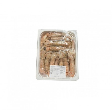 CANOCCHIE  COTTE EXTRA CDM PZ3X1,5KG