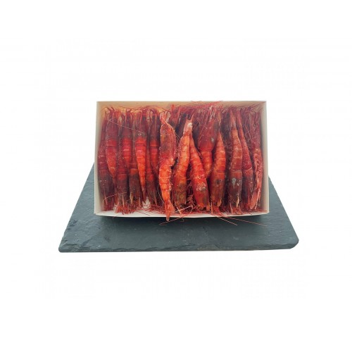 GAMBERI ROSSI 31/40 MOZAMBICO GR.800X12