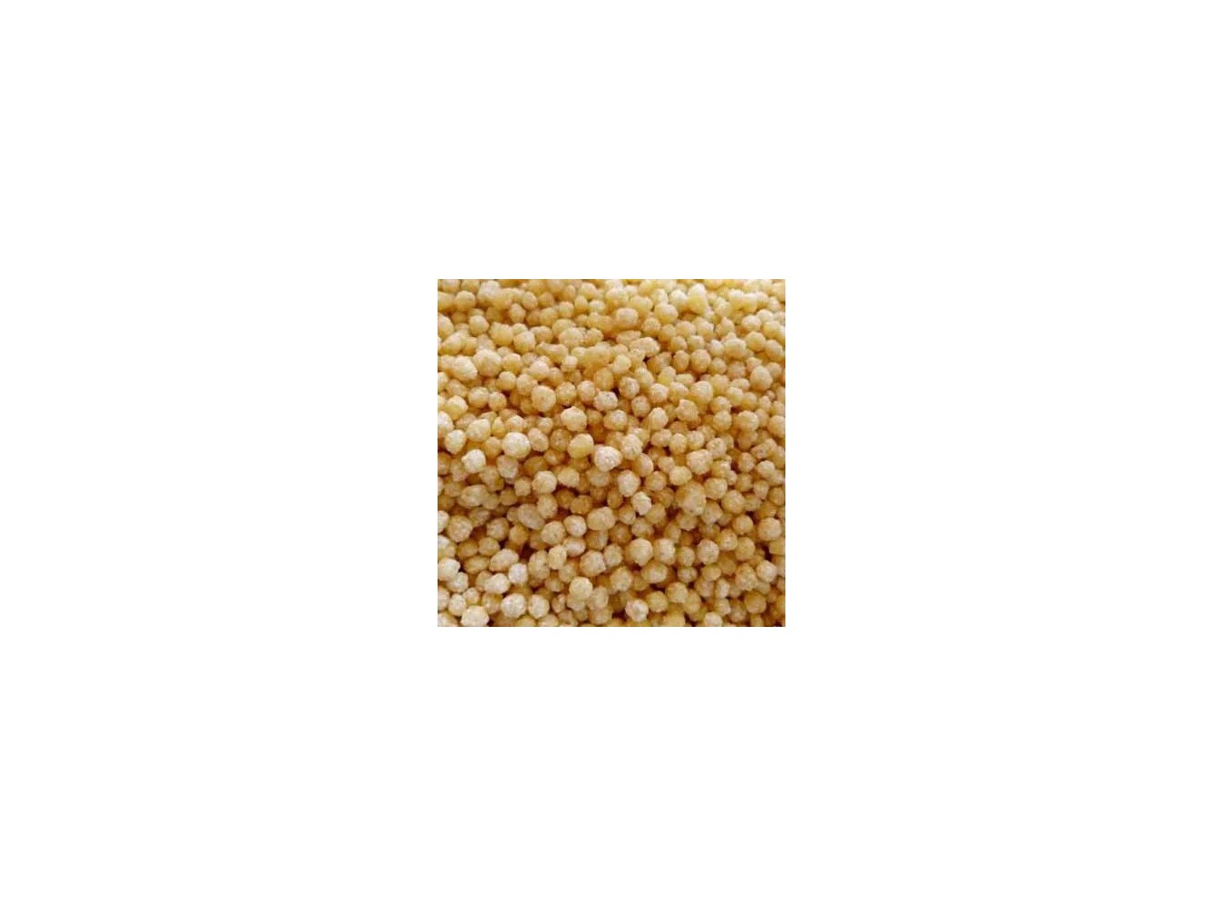 FREGOLA SARDA MEDIA            GR.500X12