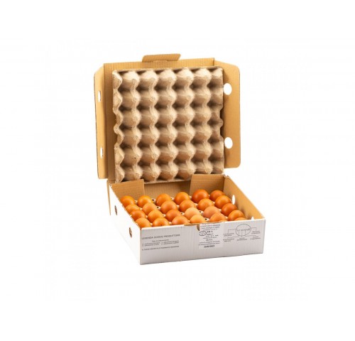 UOVA FRESCHE LARGE 63/73            N.30