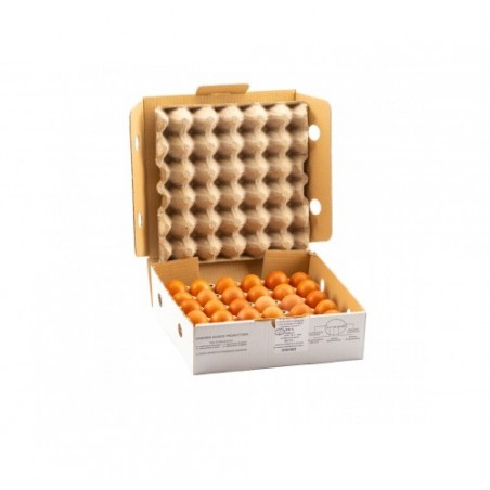 UOVA FRESCHE LARGE 63/73            N.30