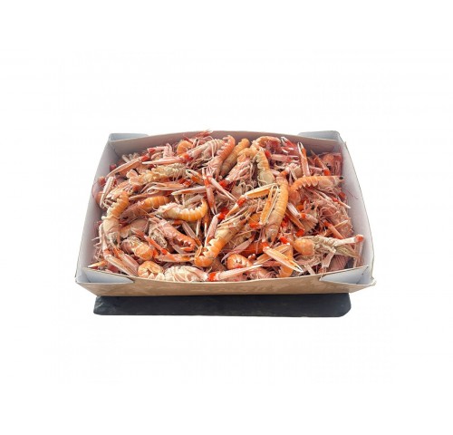 SCAMPI INTERI BORDO 30/40 IRL.   PZ3X3KG