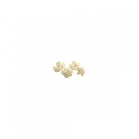 CAVOLFIORI 40/60 PINGUIN        KG.2,5X4