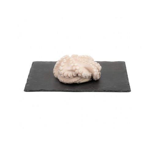 POLIPI 800/1200 T6 MAROCCO  PZ1X12KG