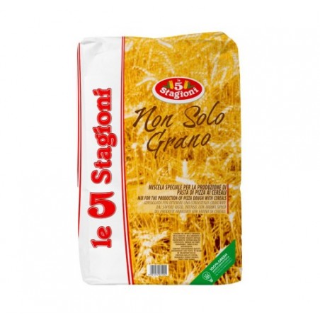 FARINA AGUGIARO NON SOLO GRANO     KG.10
