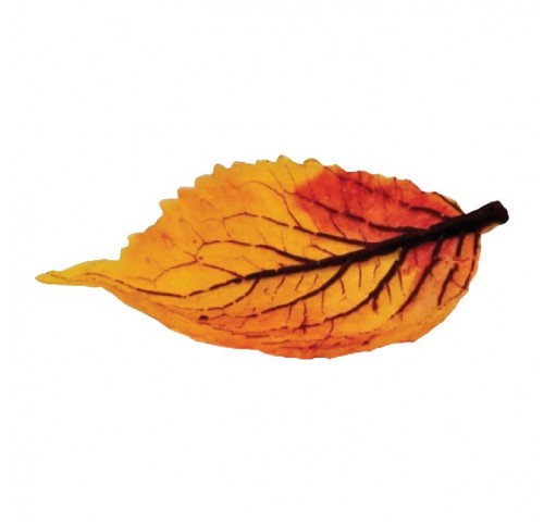 FOGLIA FINGER SALATA AUTUNNALE 80PZ  N.6