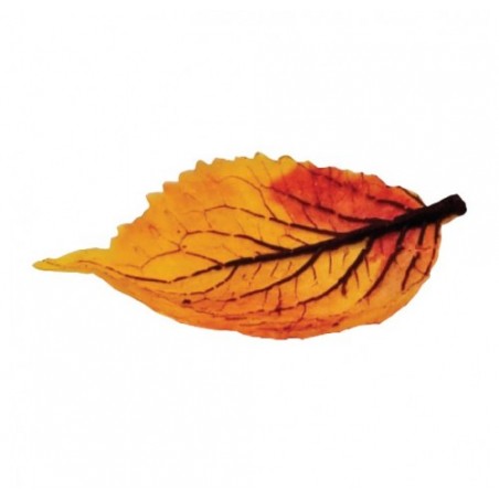 FOGLIA FINGER SALATA AUTUNNALE 80PZ  N.6