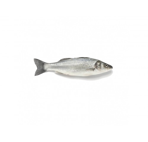 BRANZINO PESCATO MEDIT. 1000/2000 X1 PZ