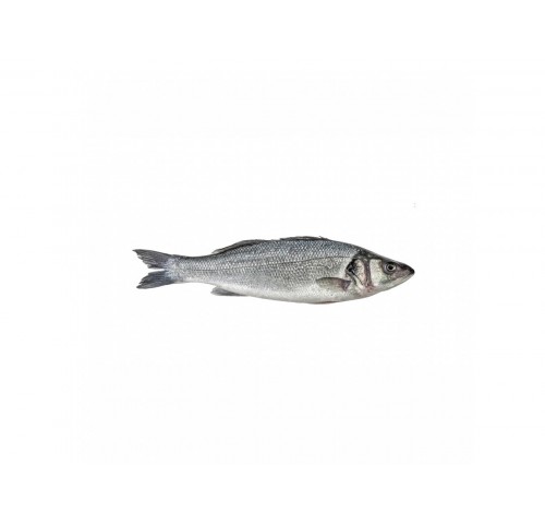 BRANZINO ALLEVATO E. 300/400 E. X6 KG