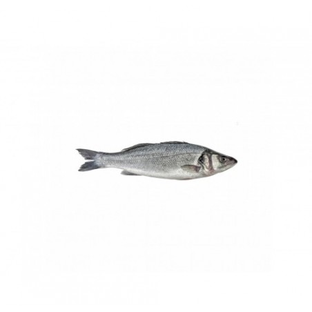 BRANZINO ALLEVATO E. 300/400 E. X6 KG