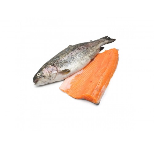 FIL. TROTA IRIDEA SALMON.120/150G X3 KG