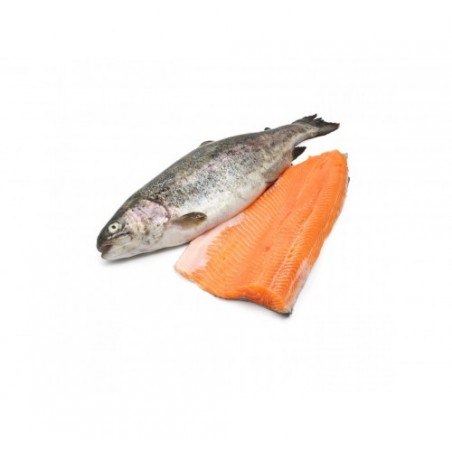 FIL. TROTA IRIDEA SALMON.120/150G X3 KG