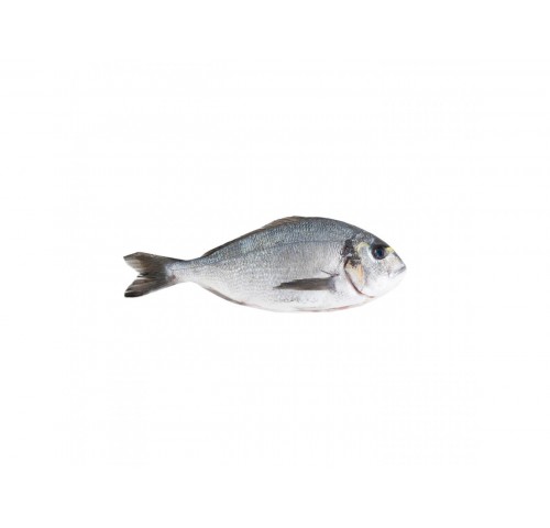 ORATA ALLEVATO E. 400/600 X6 KG