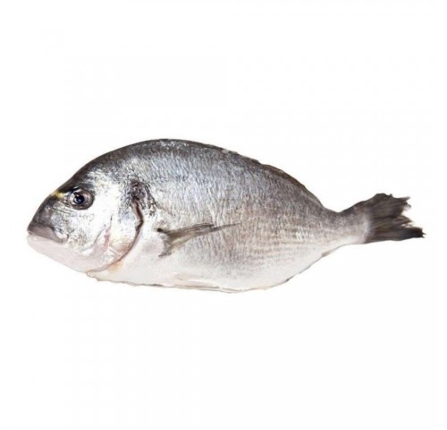 ORATA ALLEVATA HR 600/800 X6 KG