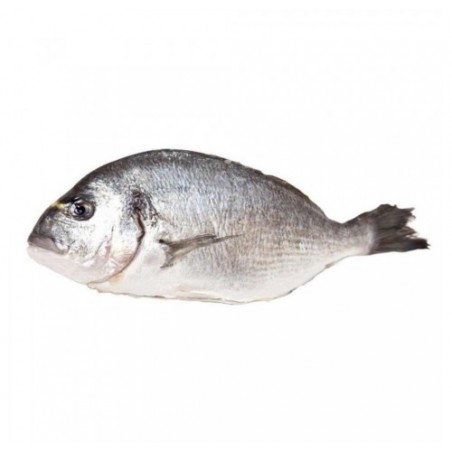 ORATA ALLEVATA HR 600/800 X6 KG
