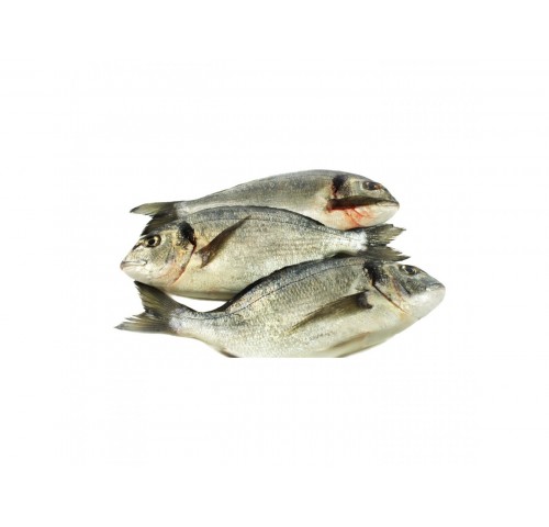 ORATA ALLEVATO E. 600/800 X6 KG