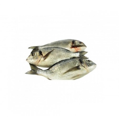 ORATA ALLEVATO E. 600/800 X6 KG