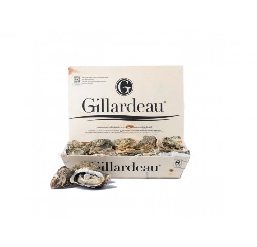 OSTRICA GILLARDEAU N4 24PZ - 1,75K