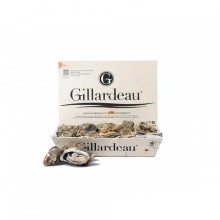 OSTRICA GILLARDEAU N4 24PZ - 1,75K
