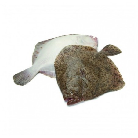ROMBO CHIODATO ALLEV. 800/1000 X6 KG