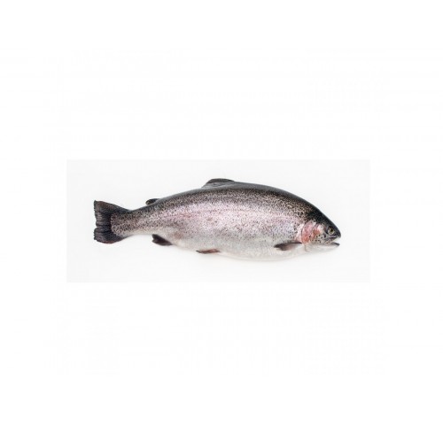 TROTA IRIDEA 300/600 X5 KG