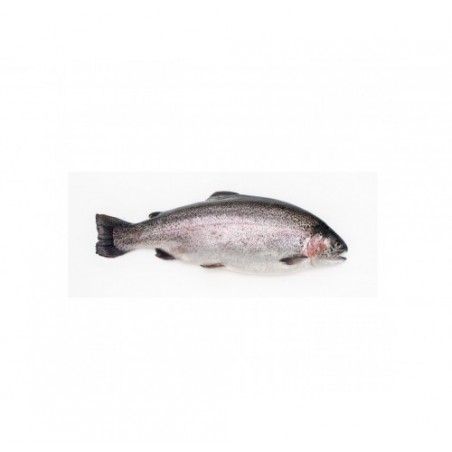 TROTA IRIDEA 300/600 X5 KG
