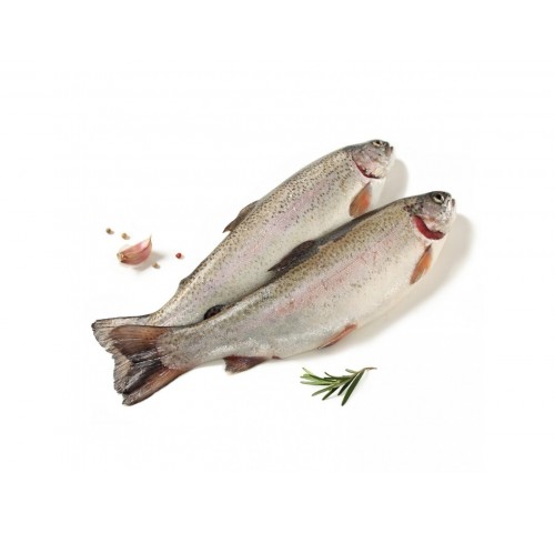 TROTA IRIDEA SALM.EVISCER. 500/600 X3 KG
