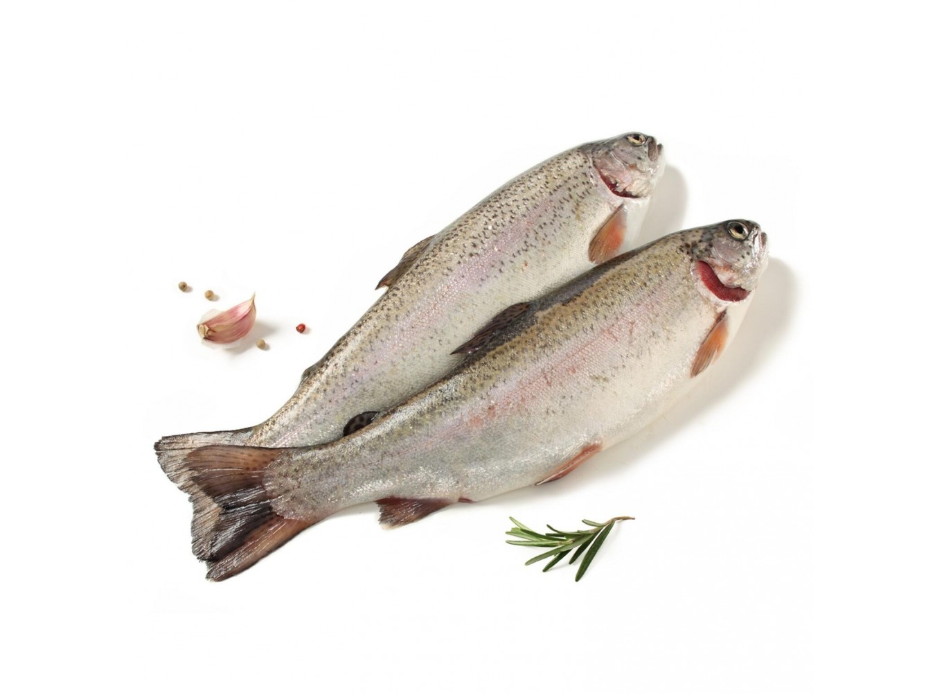 TROTA IRIDEA SALM.EVISCER. 500/600 X3 KG