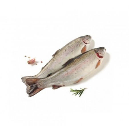 TROTA IRIDEA SALM.EVISCER. 500/600 X3 KG