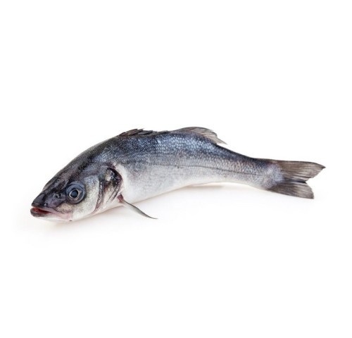 BRANZINO ALLEVATO E. 200/300 X3 KG