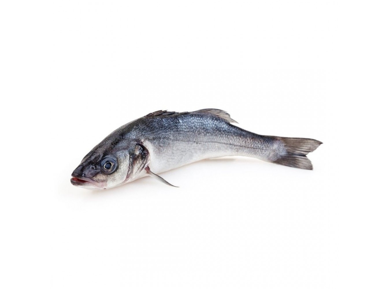 BRANZINO ALLEVATO E. 200/300 X3 KG
