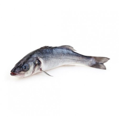 BRANZINO ALLEVATO E. 200/300 X3 KG