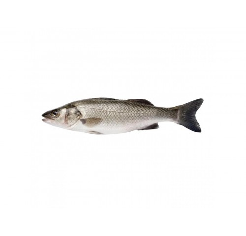 BRANZINO ALLEVATO HR 400/600 X3 KG