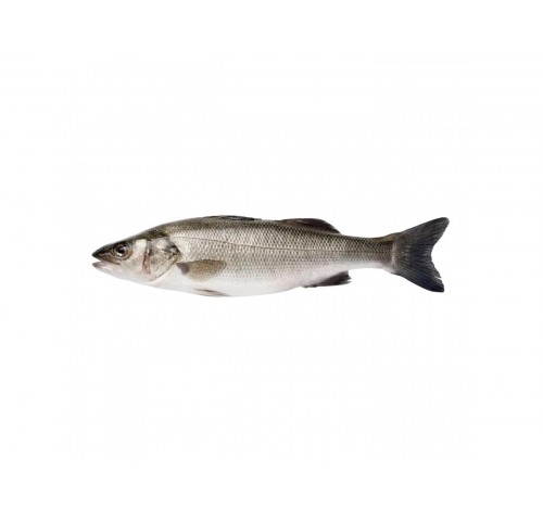 BRANZINO ALLEVATO E. 400/600  X3 KG