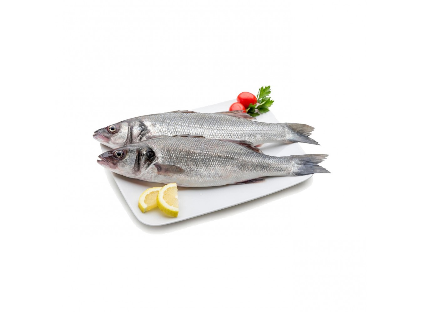 BRANZINO E. 600/800 X6 KG