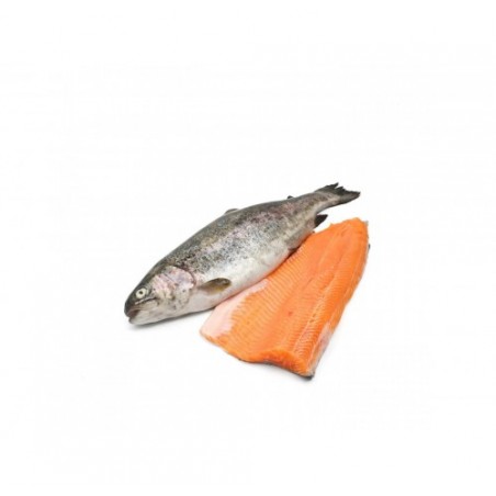 FIL. TROTA IRIDEA SALMON. 160/200G X3 KG
