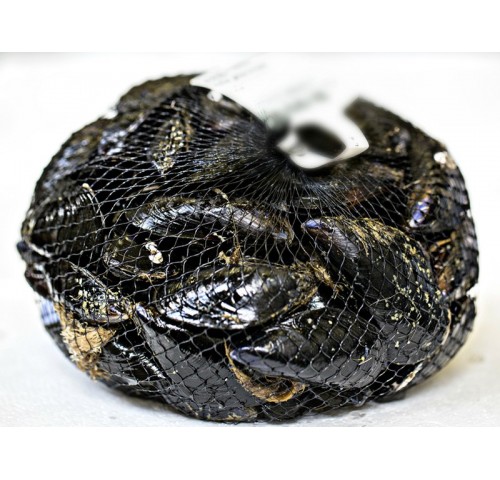 COZZA EXTRA SPAZZOLATA/SBISSATA  X3 KG