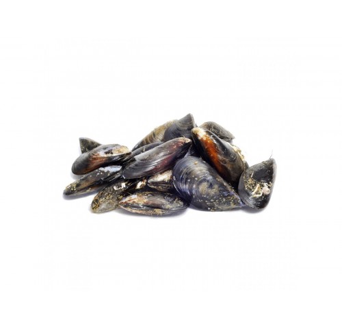 COZZA SPORCA ALLEVATA ITALIA X3 KG