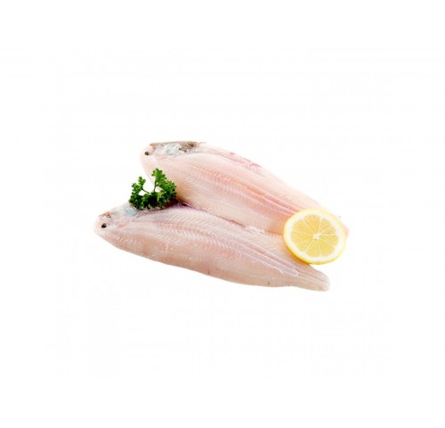 FIL. SOGLIOLA OCEANICA X4 KG