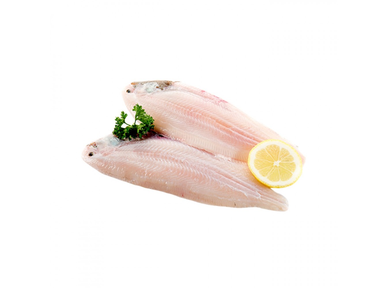 FIL. SOGLIOLA OCEANICA X4 KG