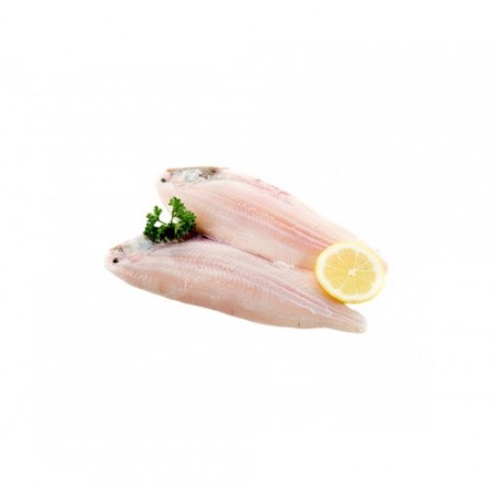 FIL. SOGLIOLA OCEANICA X4 KG